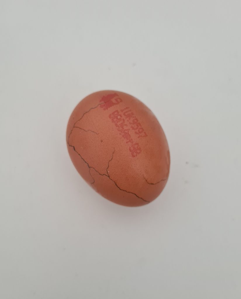 photograph of an egg with cracks drawn on in pencil 