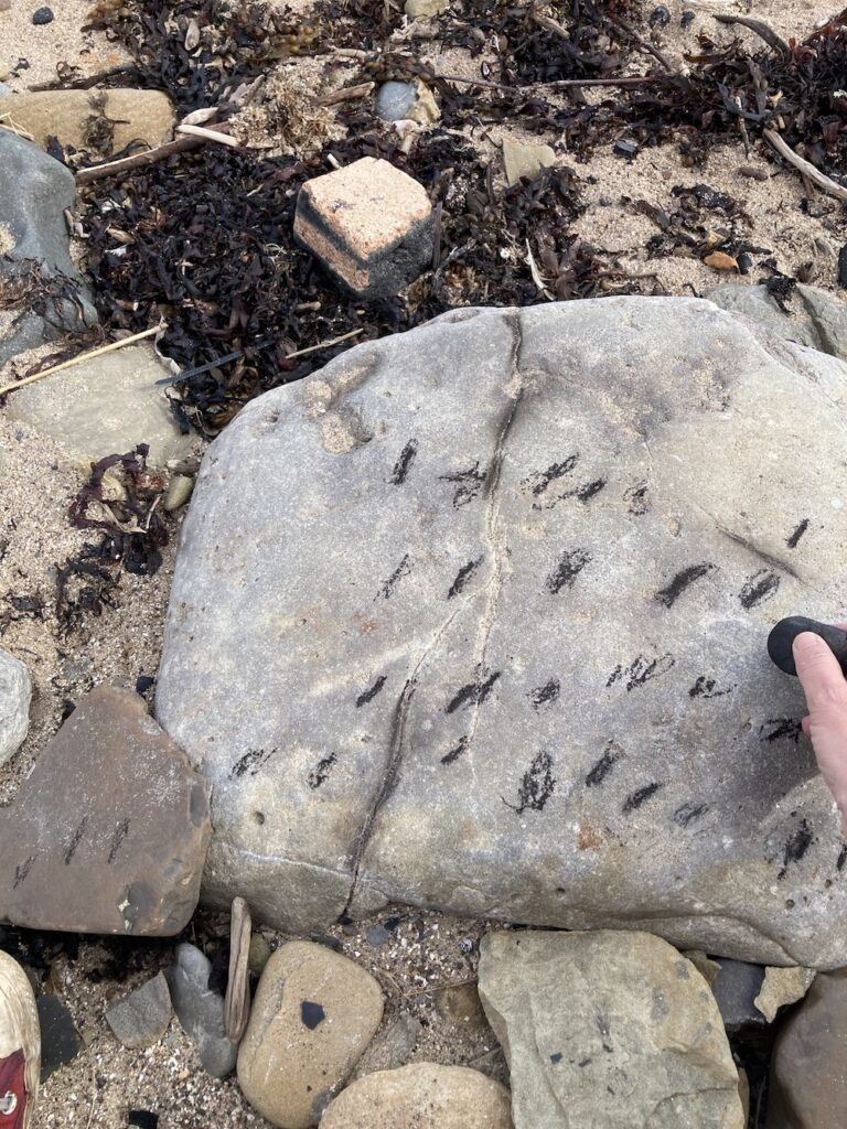 photograph of a rocky beach with a large pebble-like stone that has charcoal marks drawn onto it.