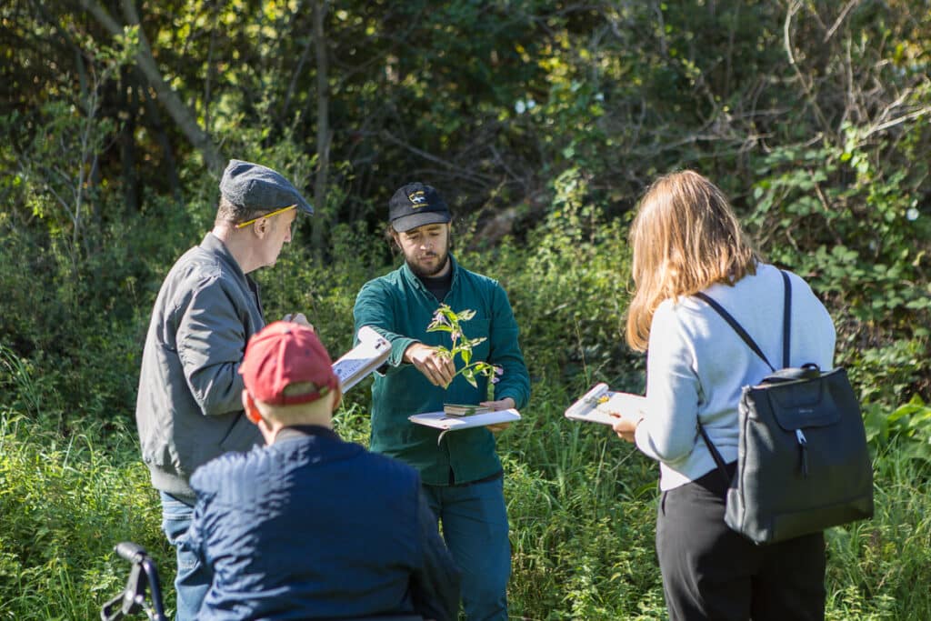 Photograph of 4 people stood in nature surrounded by bushes. The central figure holds a cutting of a plant while the other people watch and take notes using clipboards.