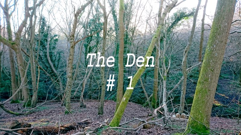 The Den 1, 2020