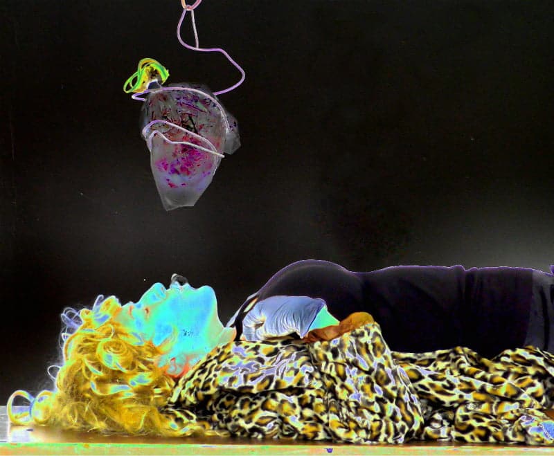 An image of the work Water Singer by Jojo Taylor.