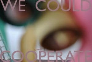 We Could Co-operate (2010)