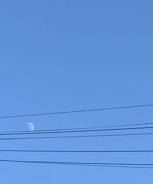 Colour photo, blue background intersected by seven black lines in lower third, a pale blue half moon shape visible between the top two lines