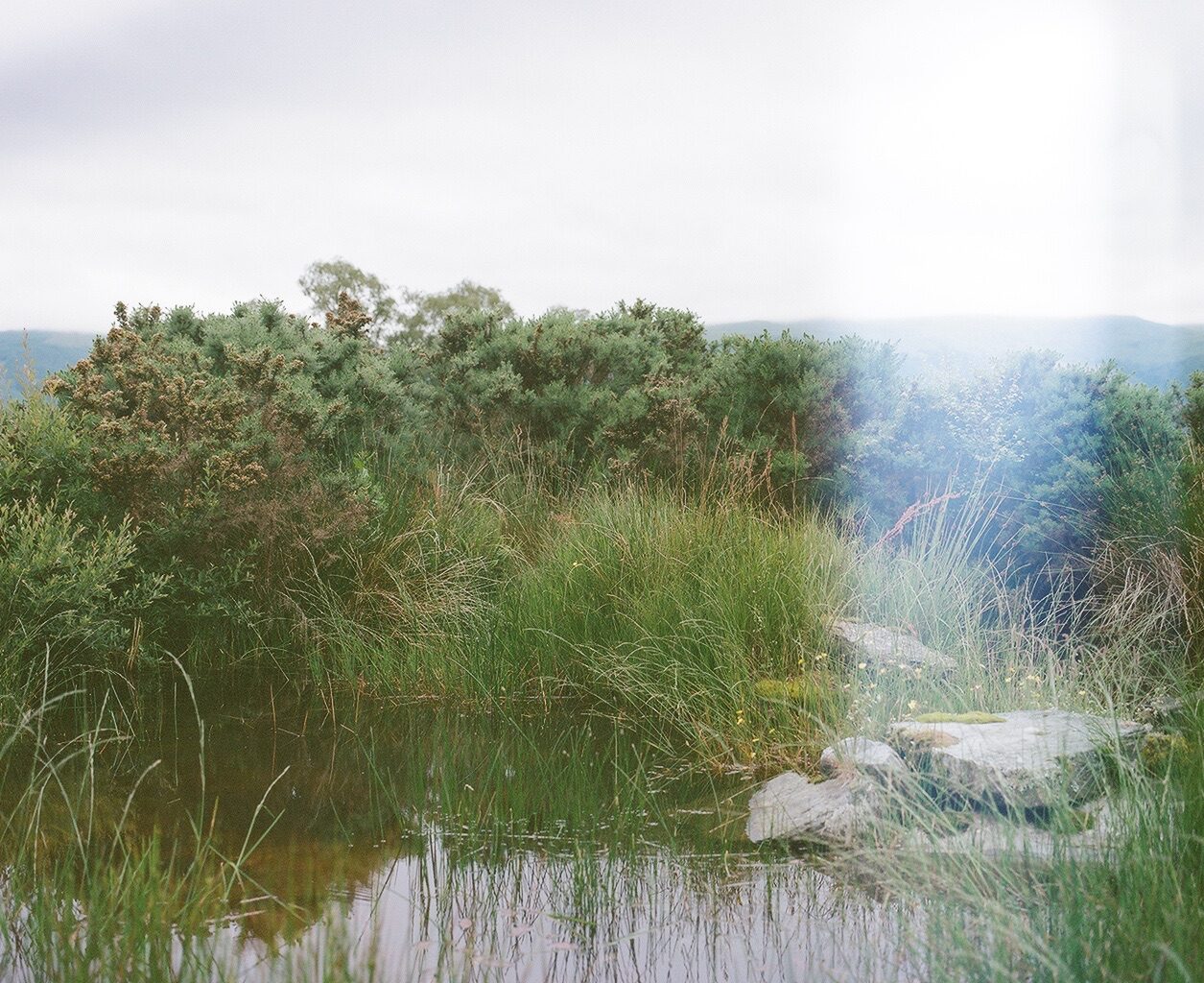 A landscape photograph taken in Scotland with lush green foliage surrounding a pond
