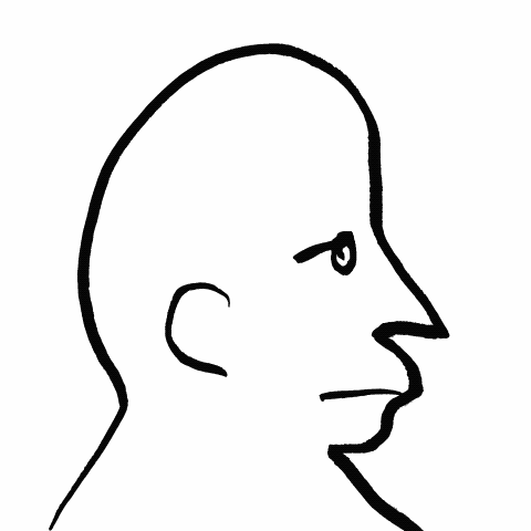 Digital Illustration Animation