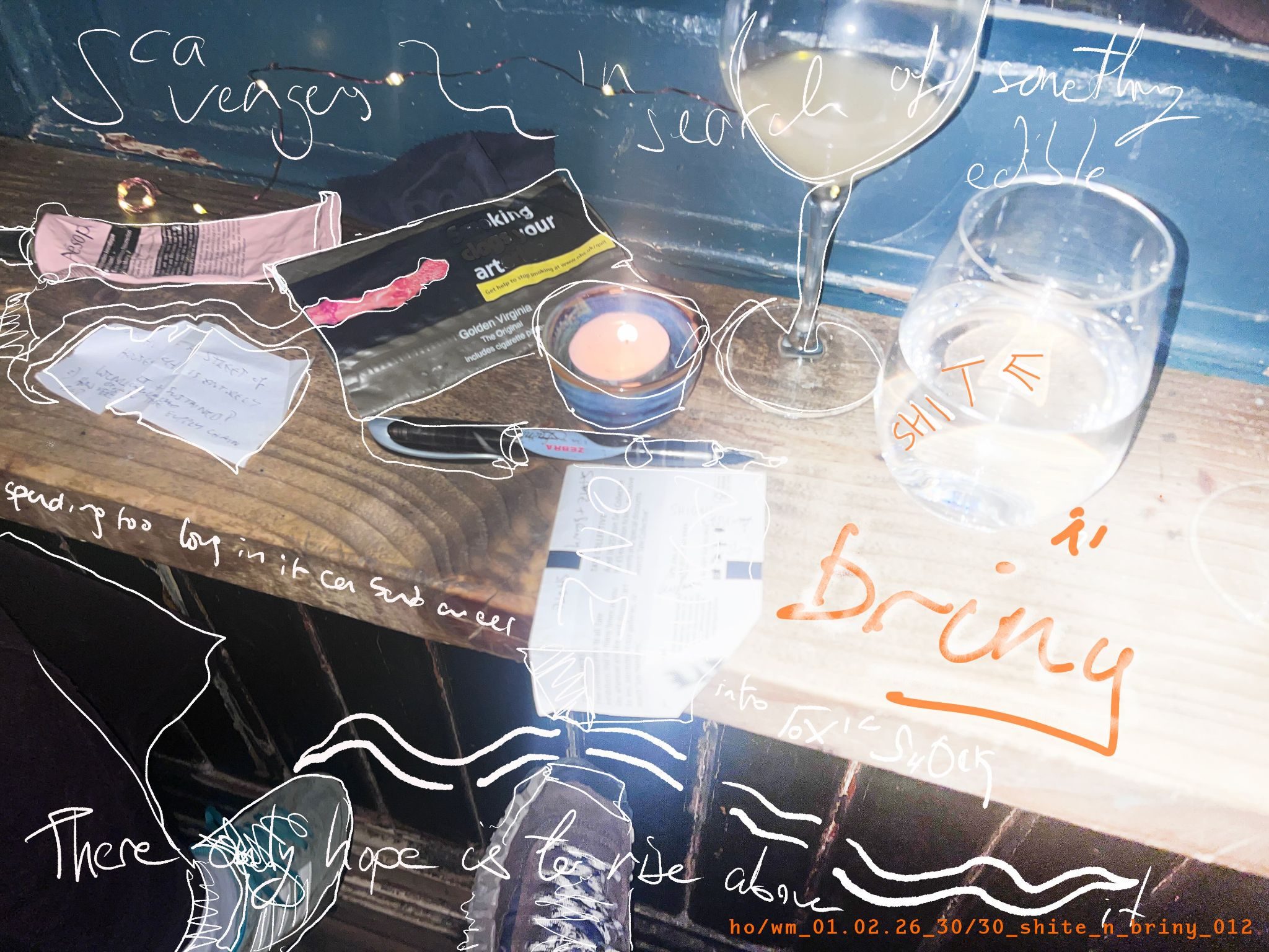 Picture this: a photo collage - flash phone, haphazard. It’s Sunday. Slight mania post-shift. Pet Nat. Hand Cream. Cigarettes. Bar table overlayed with quotes from Blue Planet 2 (a BBC documentary by David Attenborough) and eel illustrations. Around the bosom of a water glass, a scrawled spoonerism: 