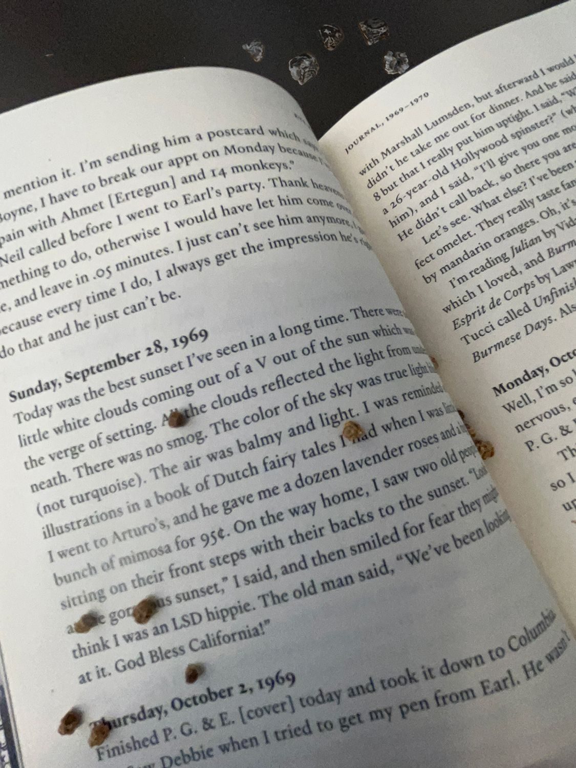 beed seeds sprawled on the pages of journal written by Eve Babitz in the Paris Review