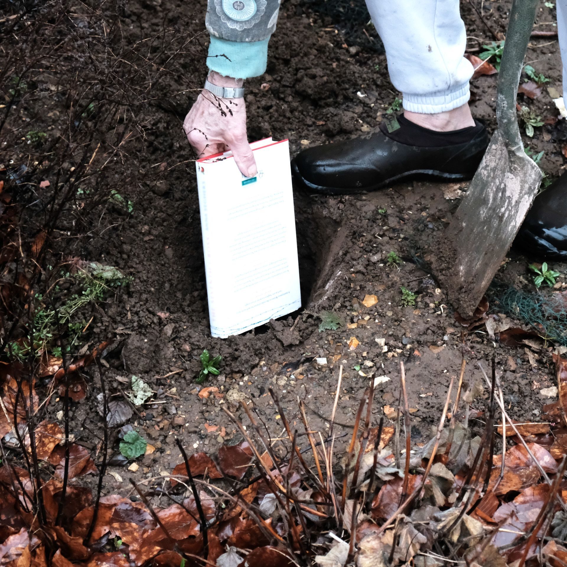 photography based digital image