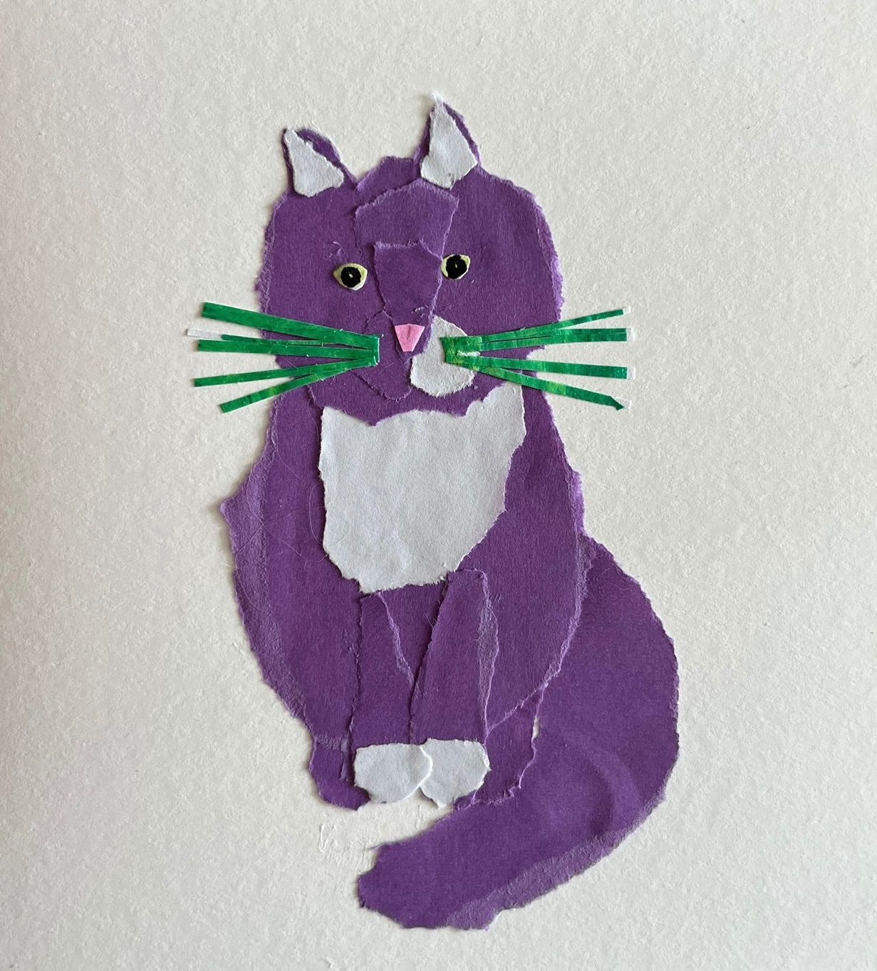 Collage of a purple cat with white paws