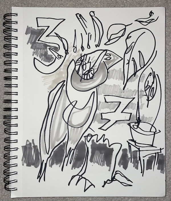 toucan dancing through