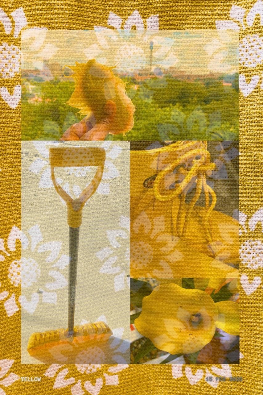 Collage of 5 photographs with yellow as the theme.