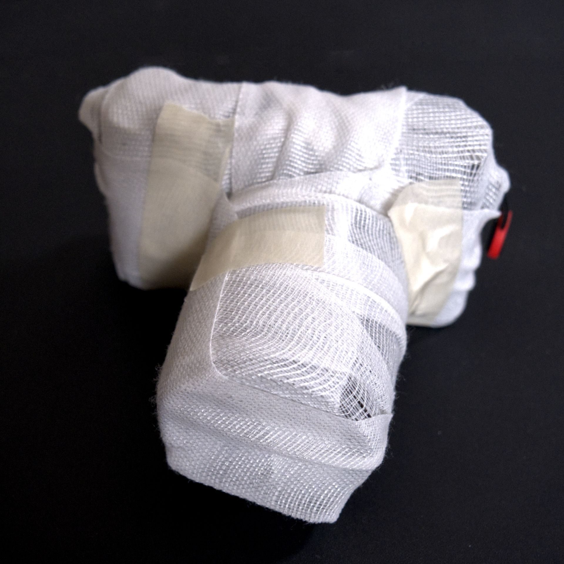 photography based digital image