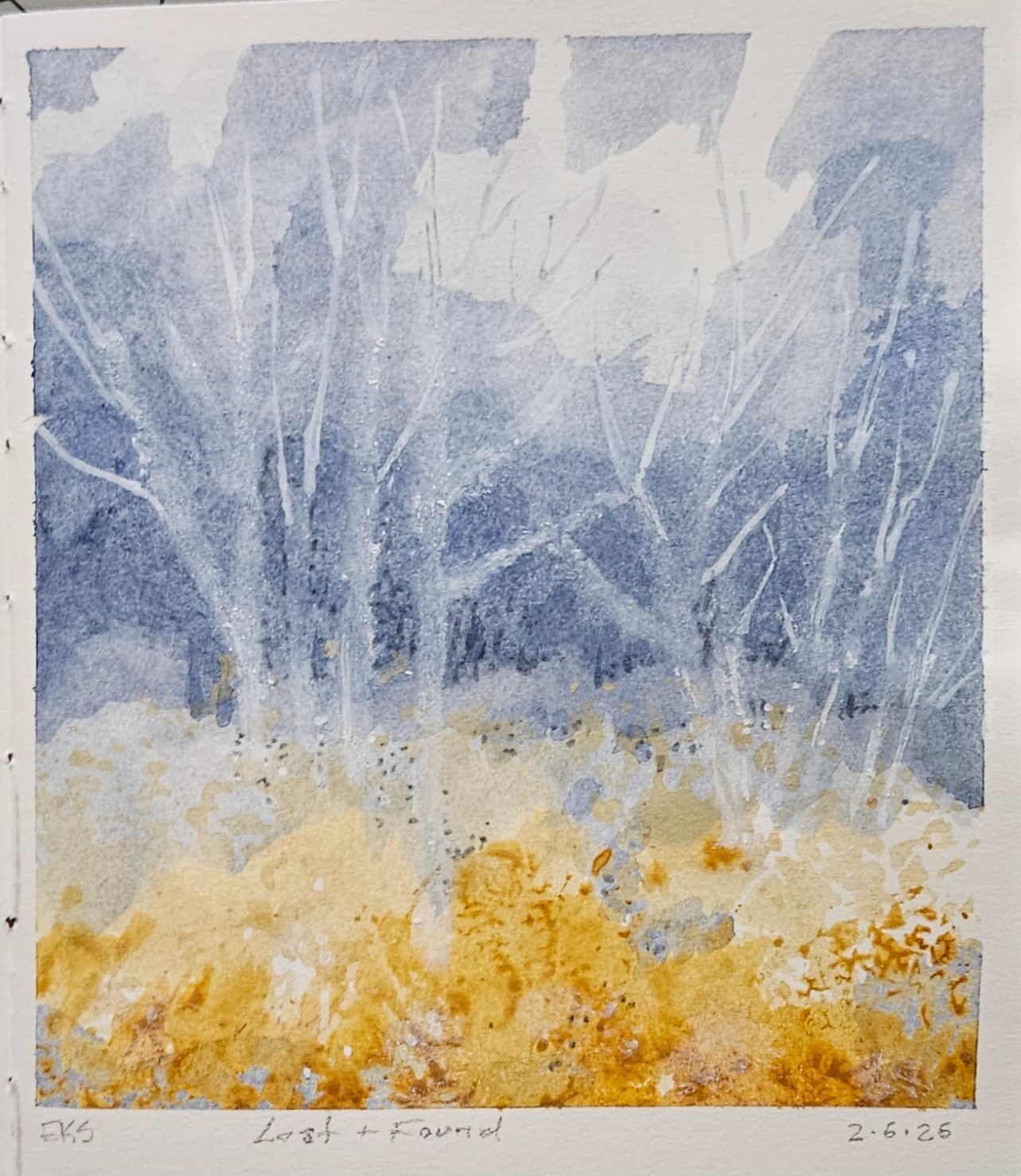 A landscape of white trees in a wild meadow of yellow grasses and a dark sky.