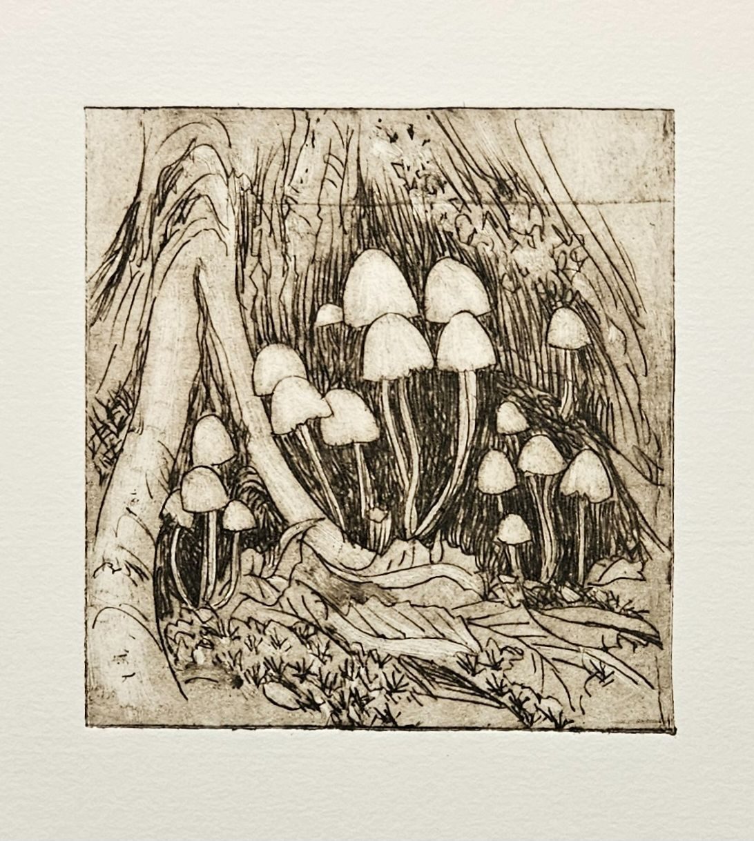A drypoint print of a cluster of white mushrooms at the base of a tree.