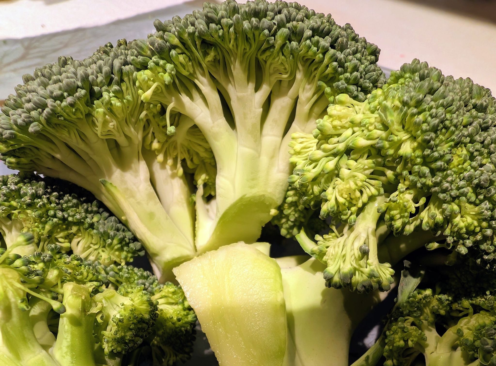 Close up of raw green broccoli florets