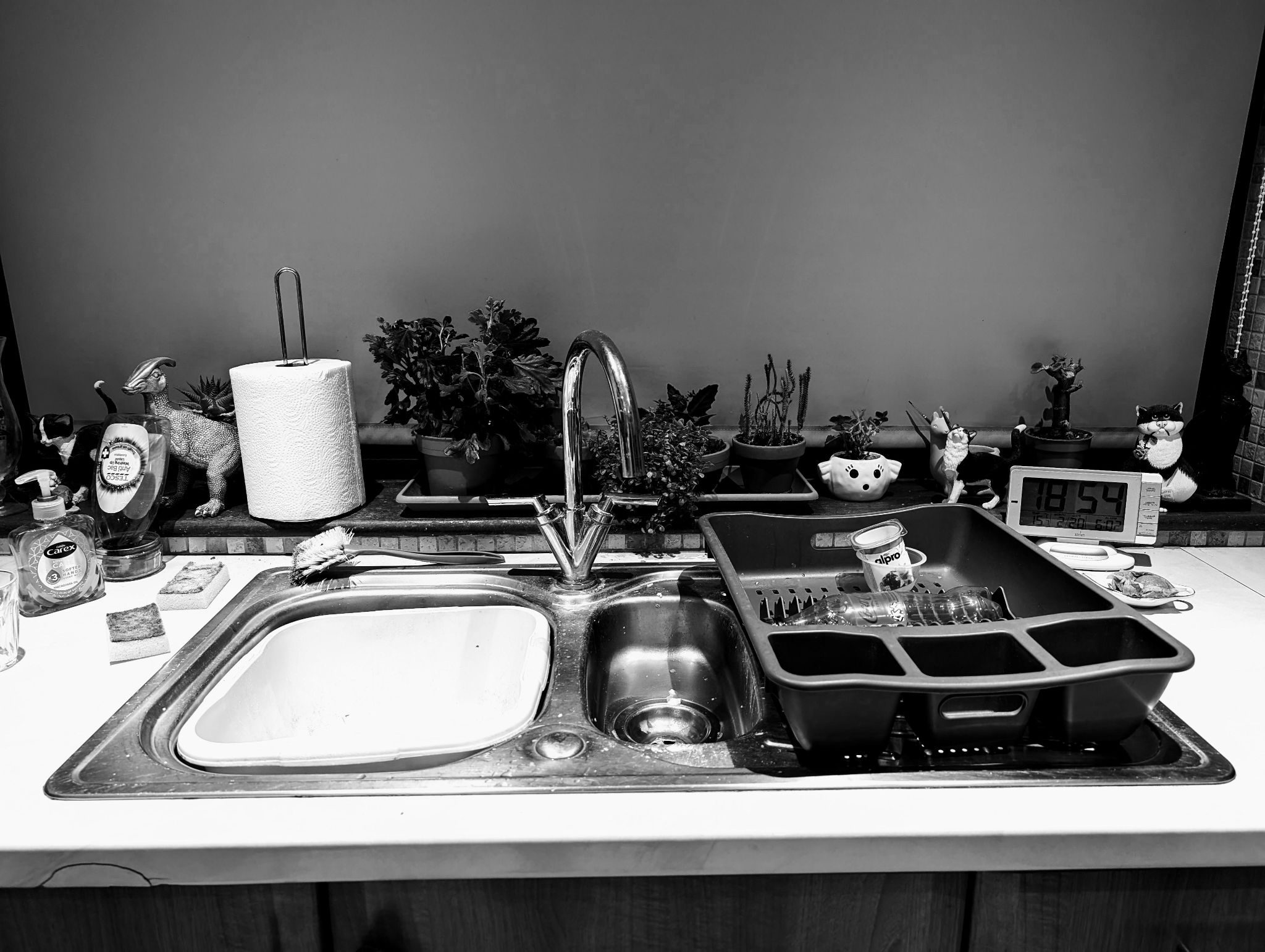 Black and white image of kitchen sink and window sill