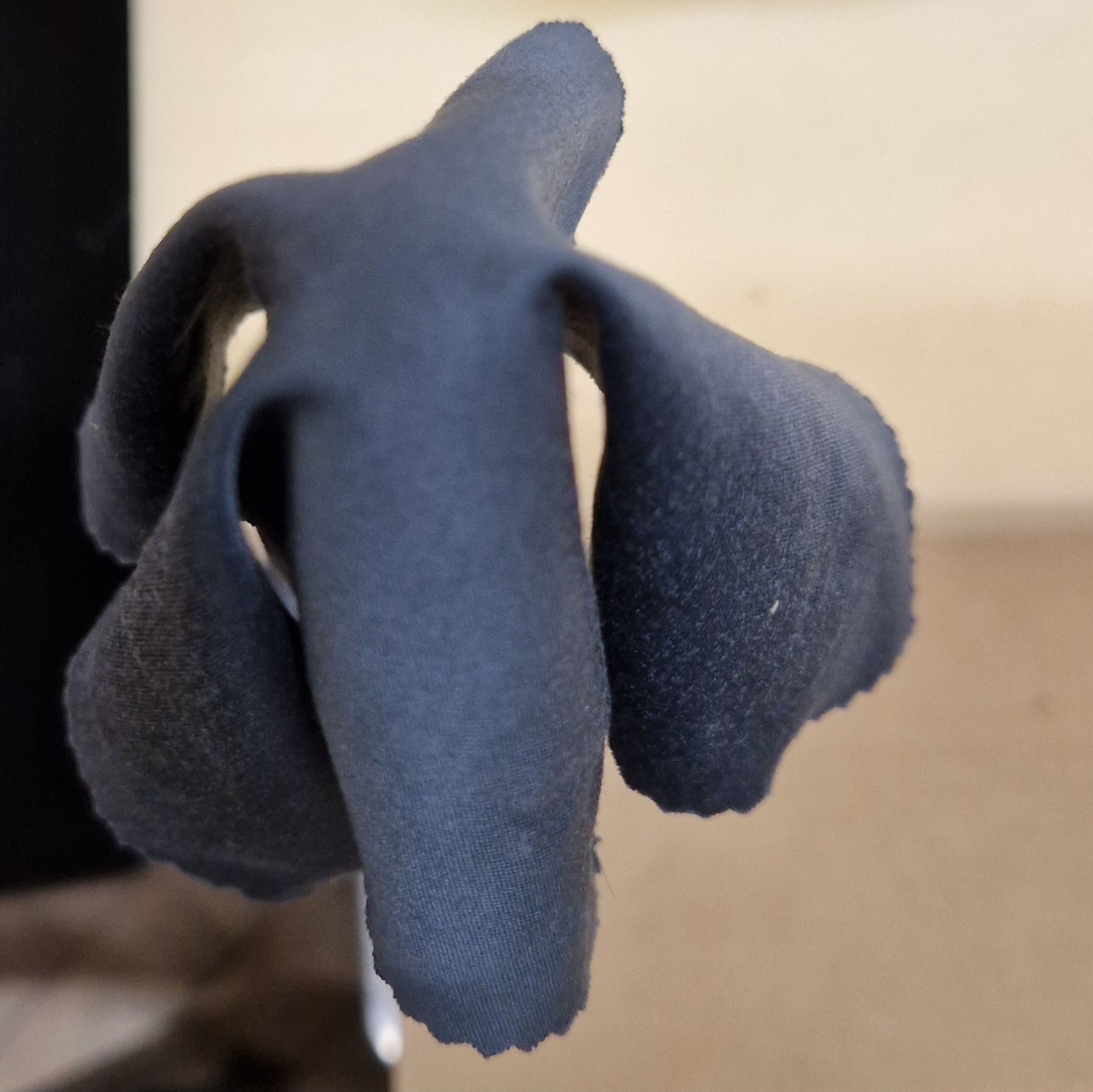 Glass cleaning cloth draped to look a bit like a coelocanth