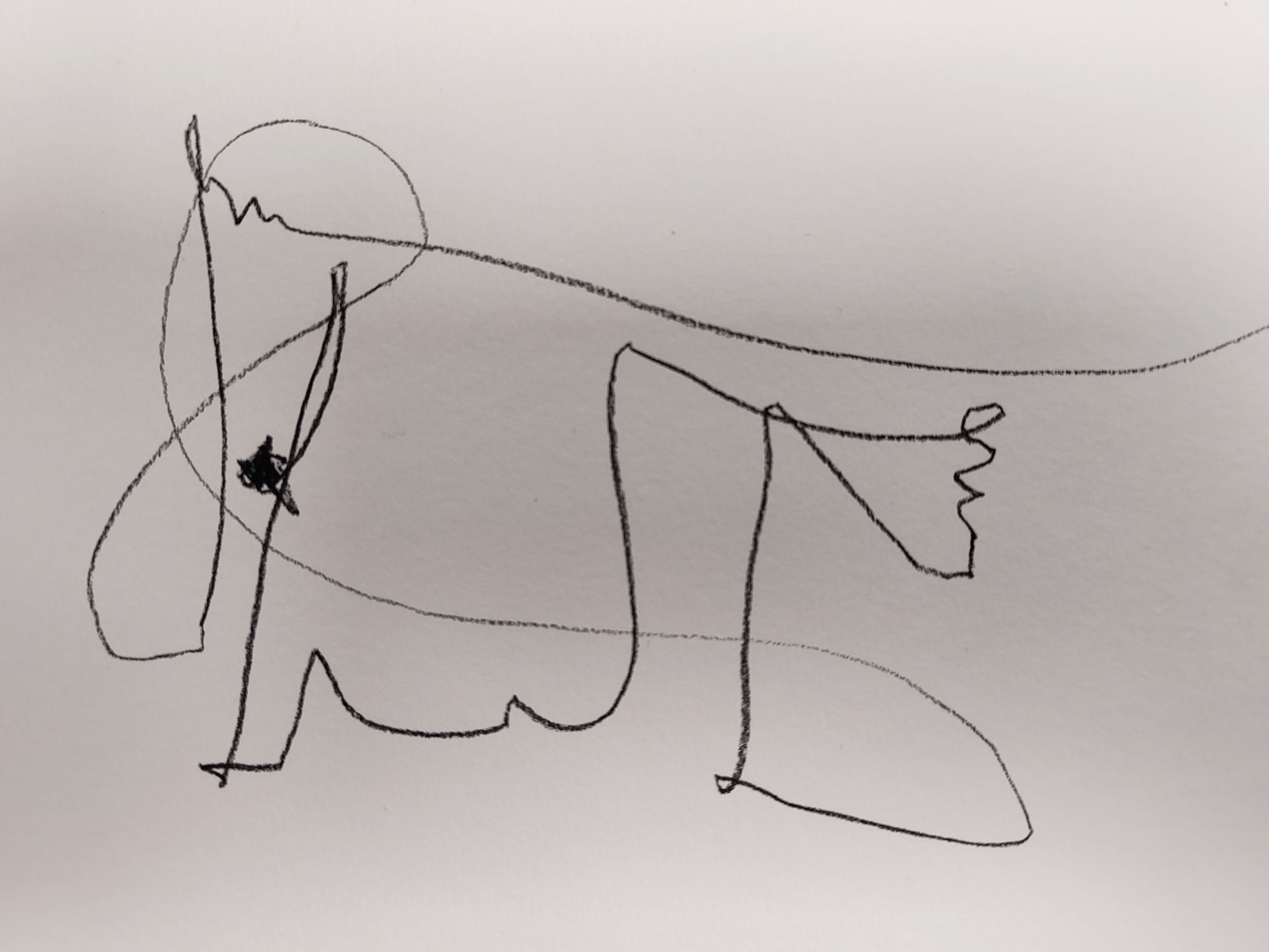 Carbon pencil sketch whilst blindfolded.