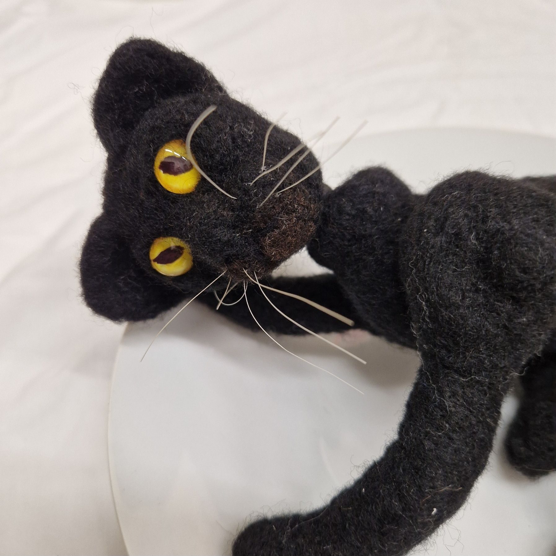 Black cat puppet lying on a white plate