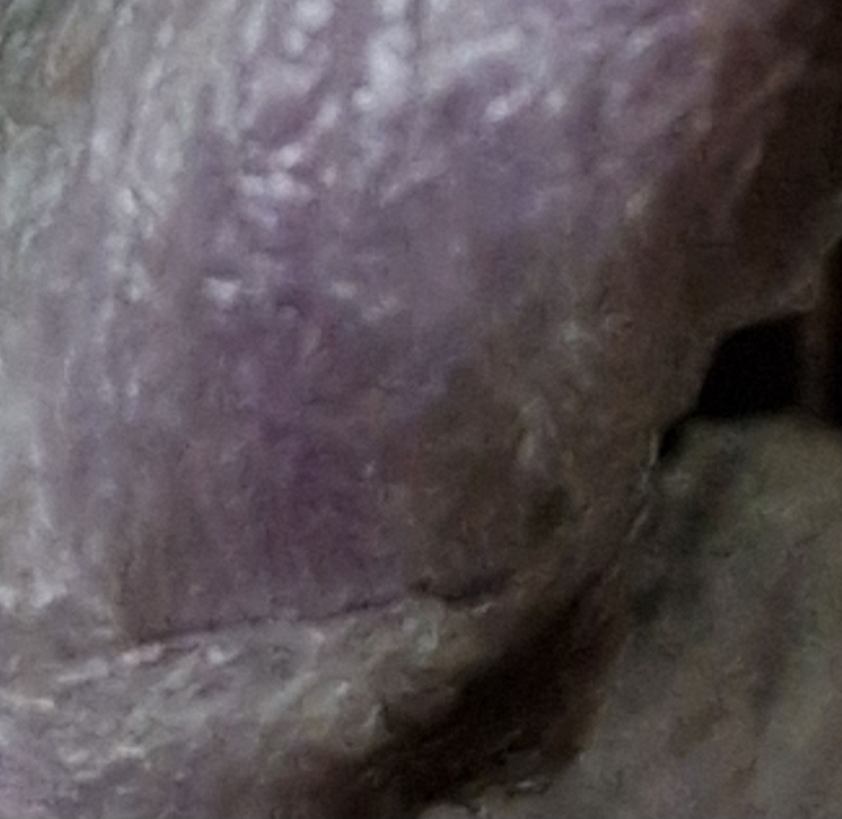 Unidentifiable pinkish and whitish texture a bit like some sort of skin