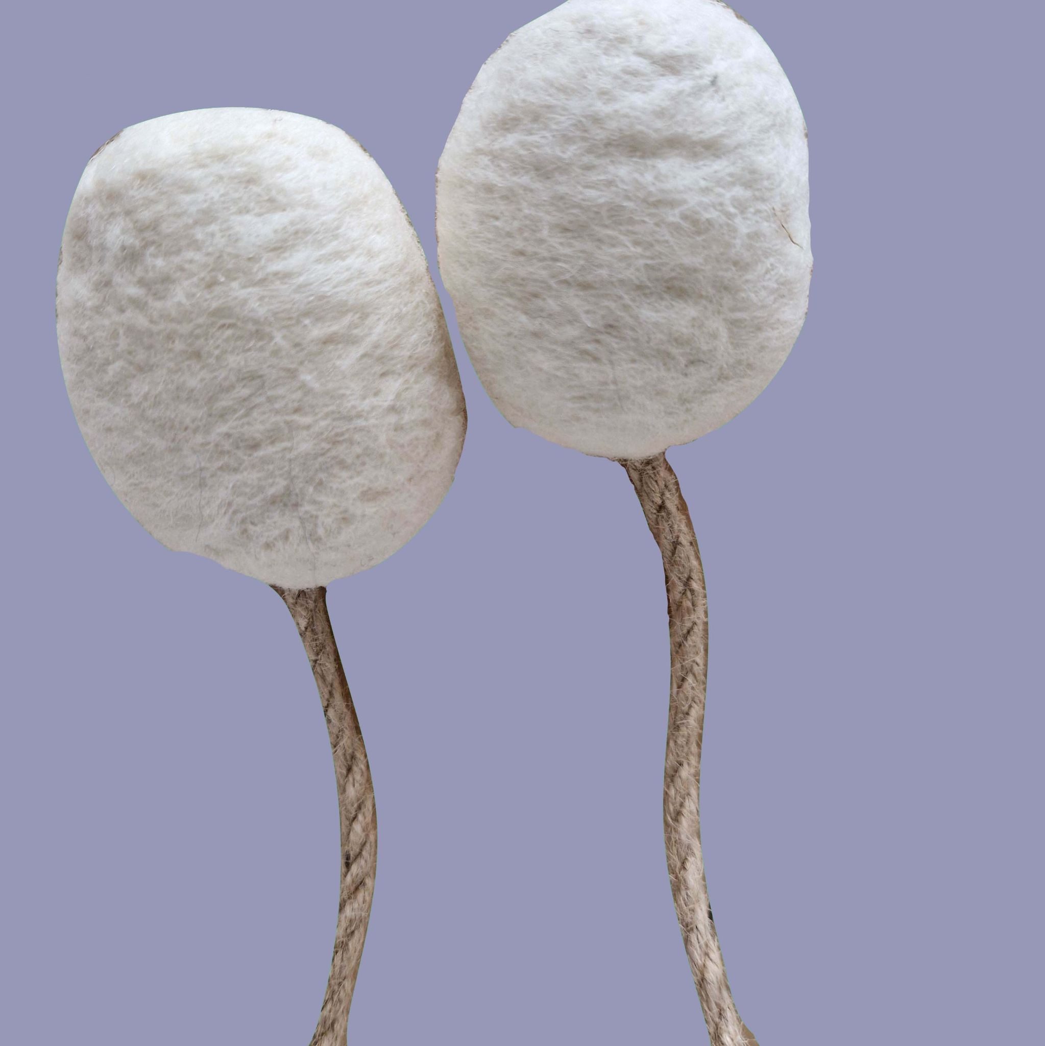 Two natural coloured needle felted head shapes with ropes trailing from them, facing each other as if about to kiss