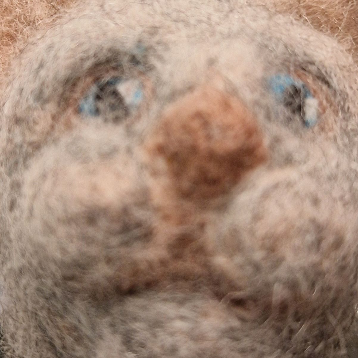 Sad cat-like face in close-up obscured partly by tangled fibres..