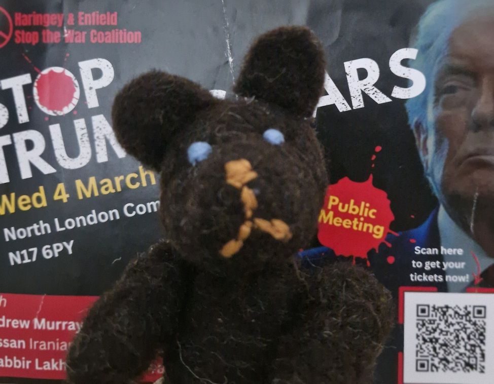 Dark brown teddy bear in front of a Stop the Trump Wars poster