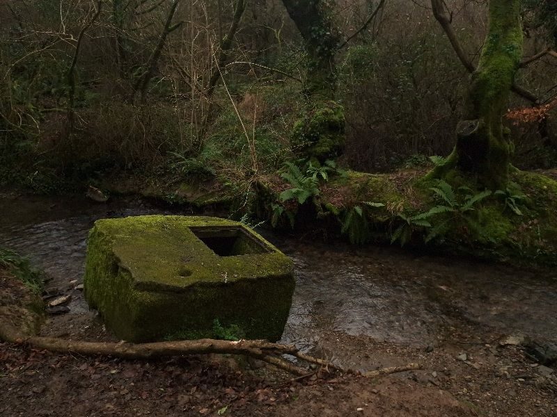 Photograph of a moss covered concrete box on the edge of a stream in a dense forest.