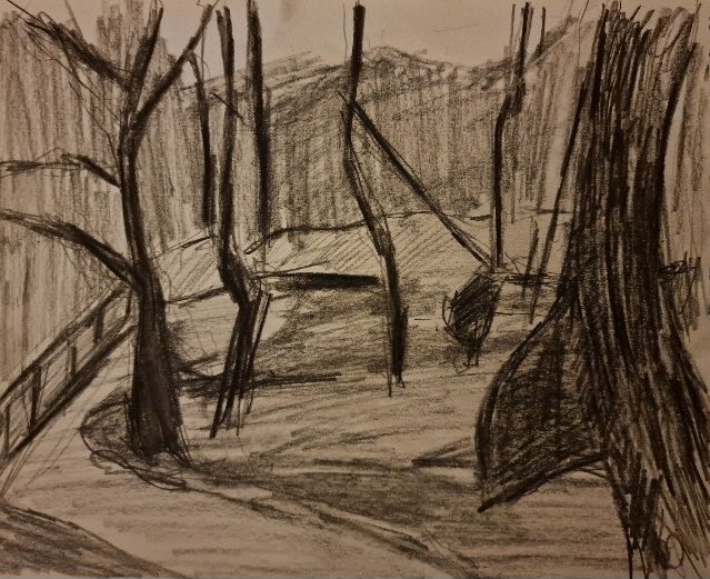 Charcoal sketch of a forest