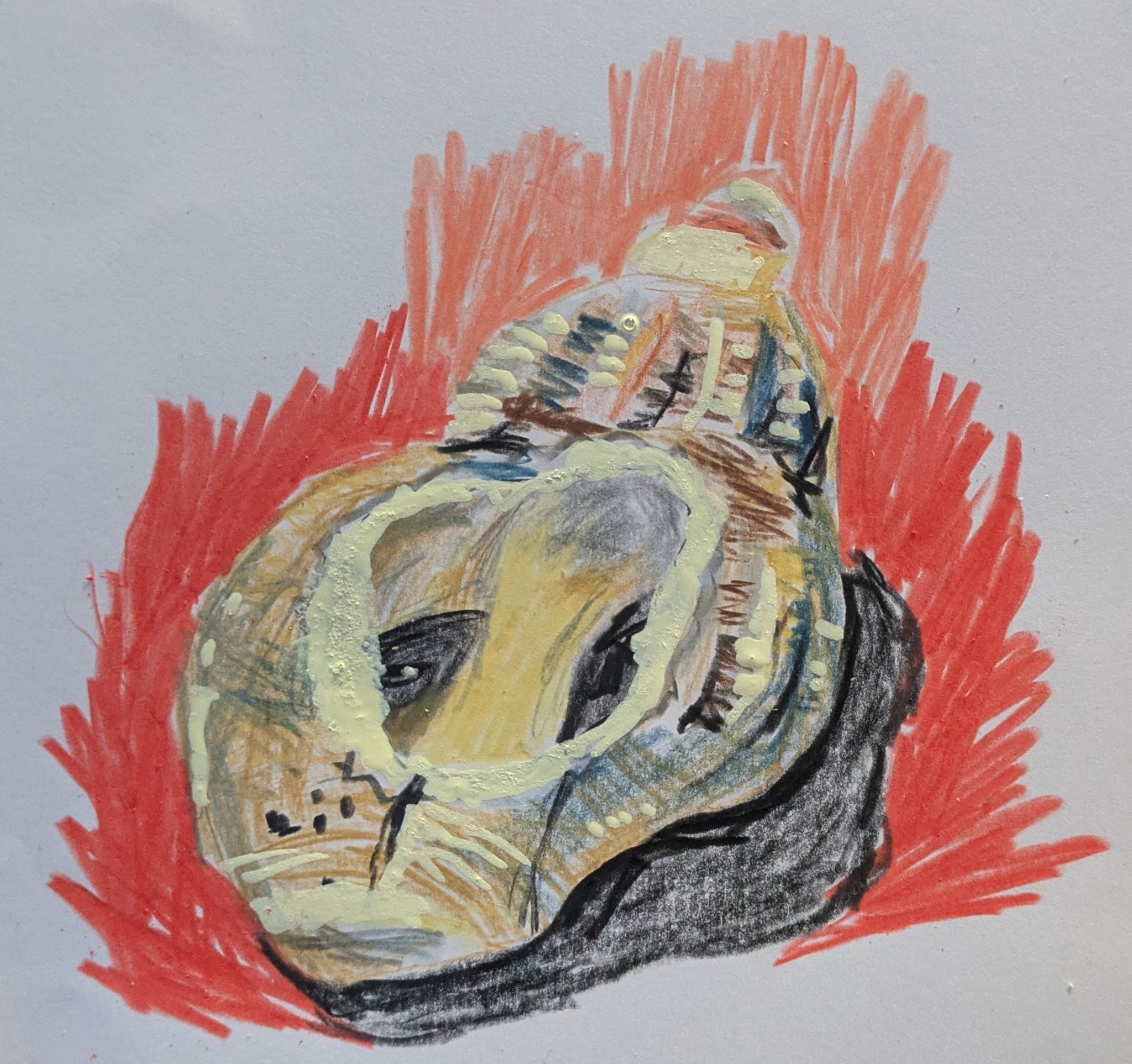 Coloured pencil sketch of a shell in vibrant hues