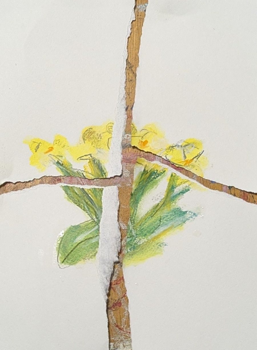 A mall coloured pencil sketch of some primroses that have been ripped in four. Don't worry, tomorrow I'm going to stitch it back together again.