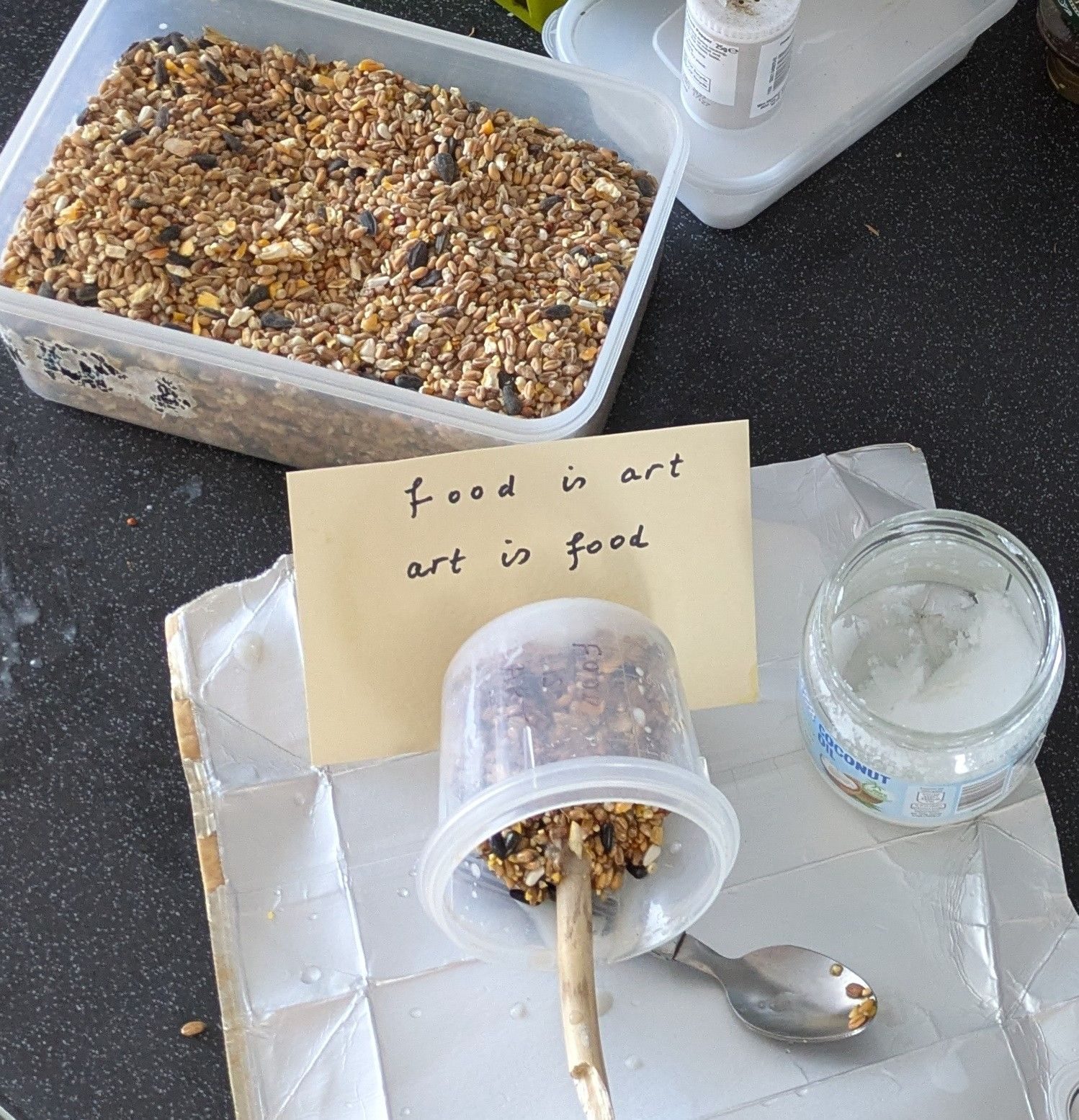 Bird feeder with coconut oil and bird seed made in a pot I use for overnight oats! The written words say: 'Food is art. Art is food'