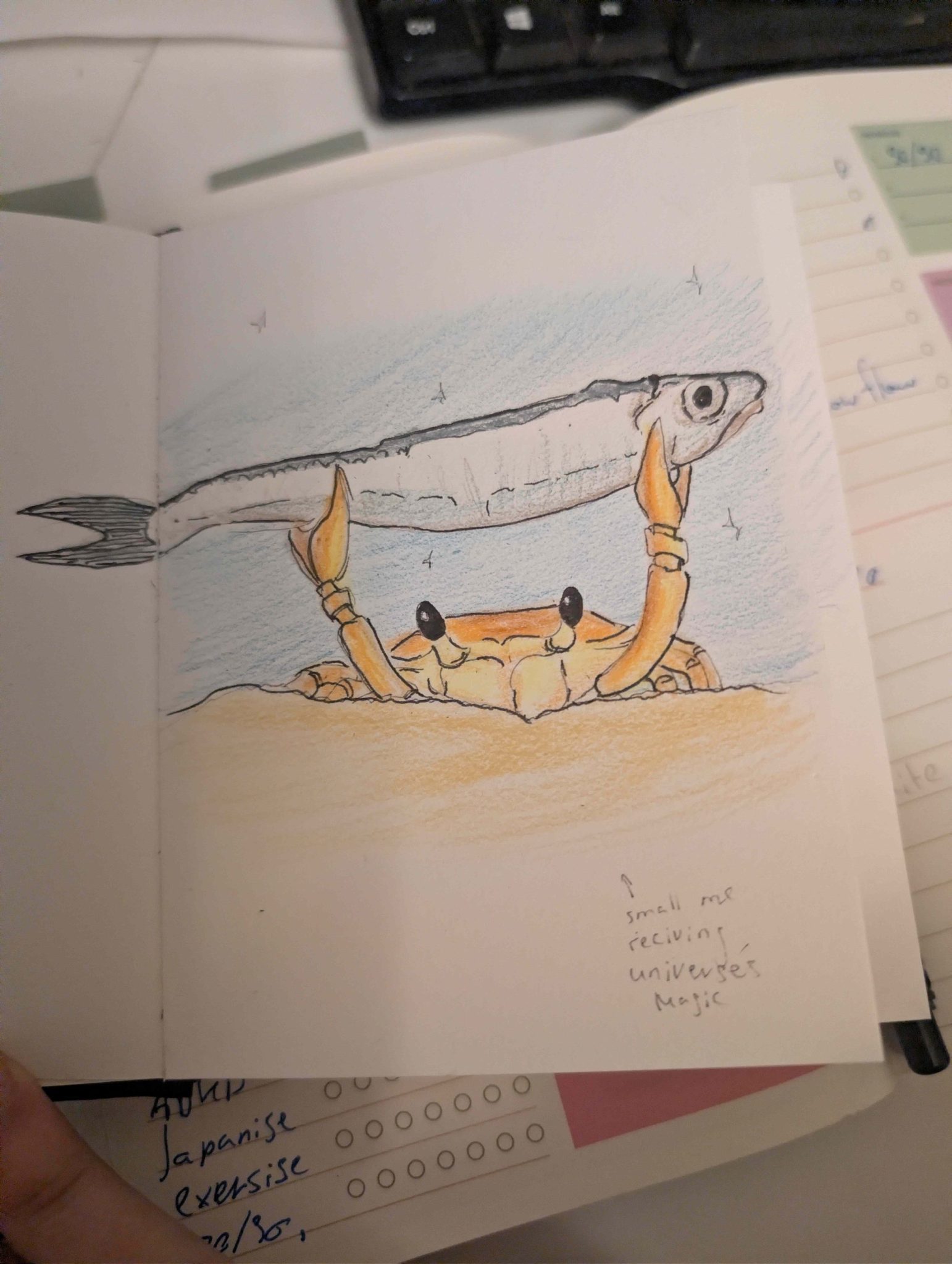 A sketch of a crab holding a fish