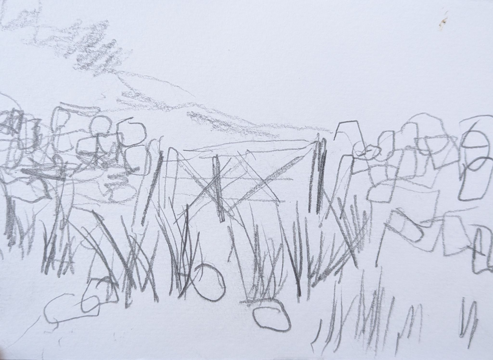 Sketch of a gate on the North York Moors