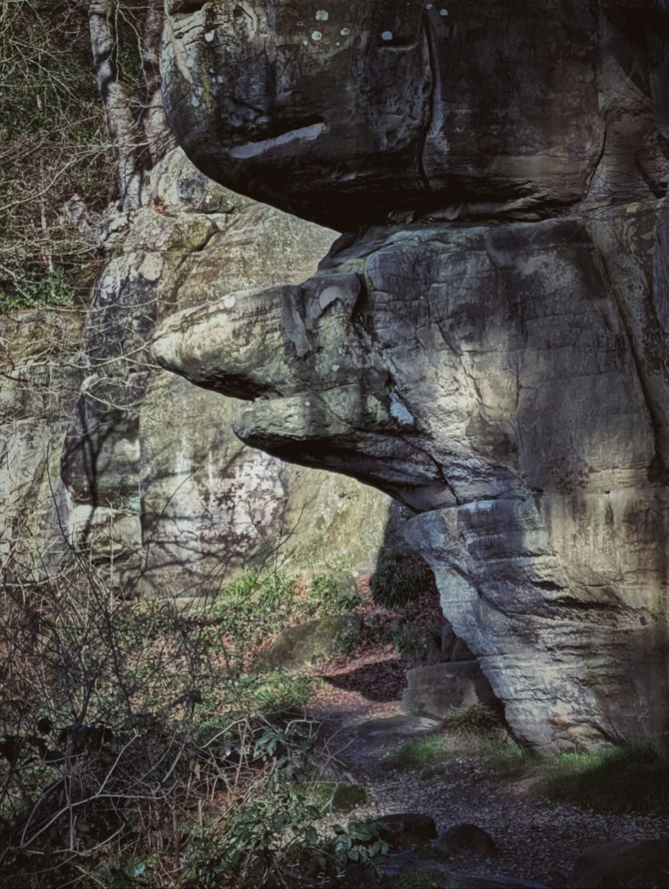 A sandstone that looks like shark head
