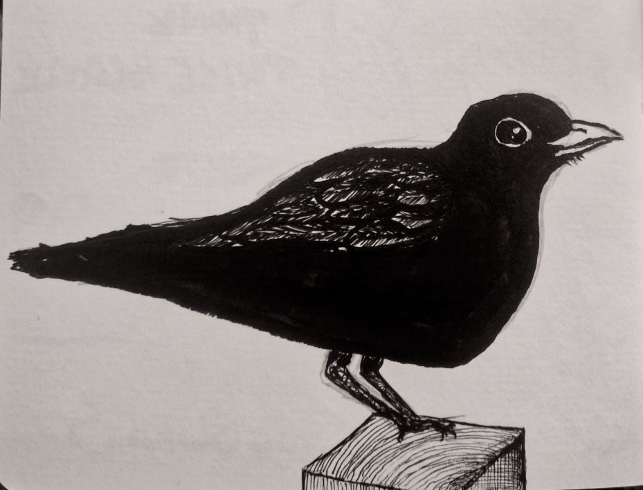 A black and white blackbird illustration standing on a post