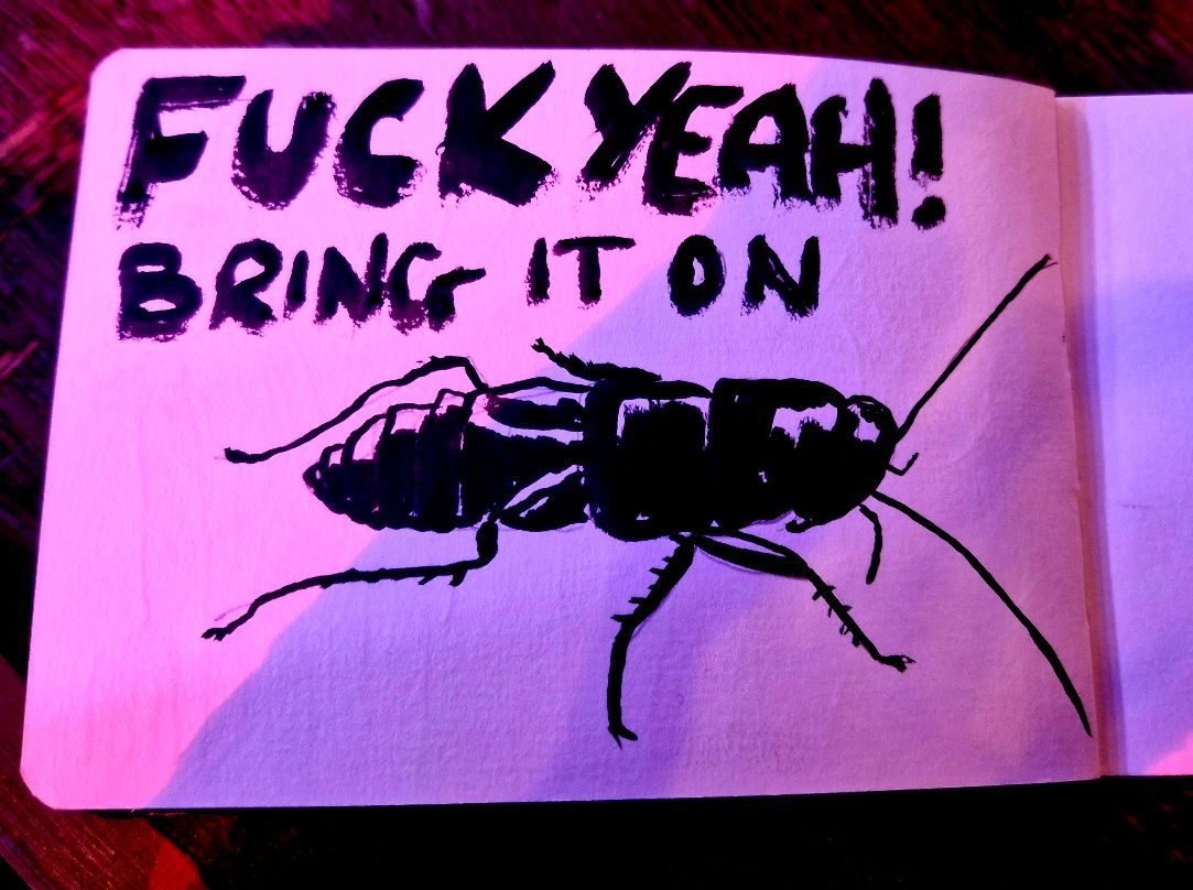 A drawing of a cockroach in black ink. With the words 