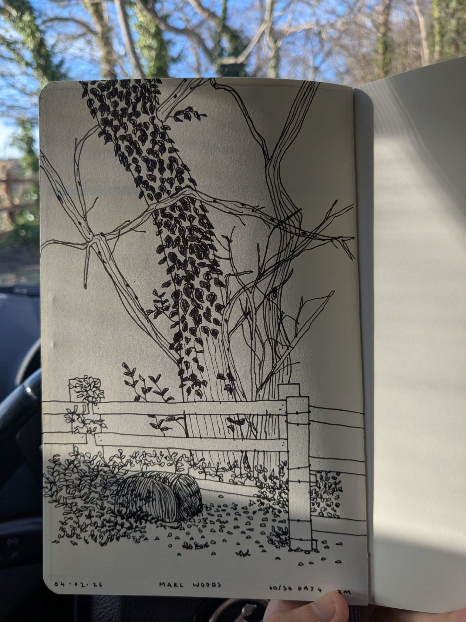 Photograph of a sketchbook page showing a drawing of trees in black ink