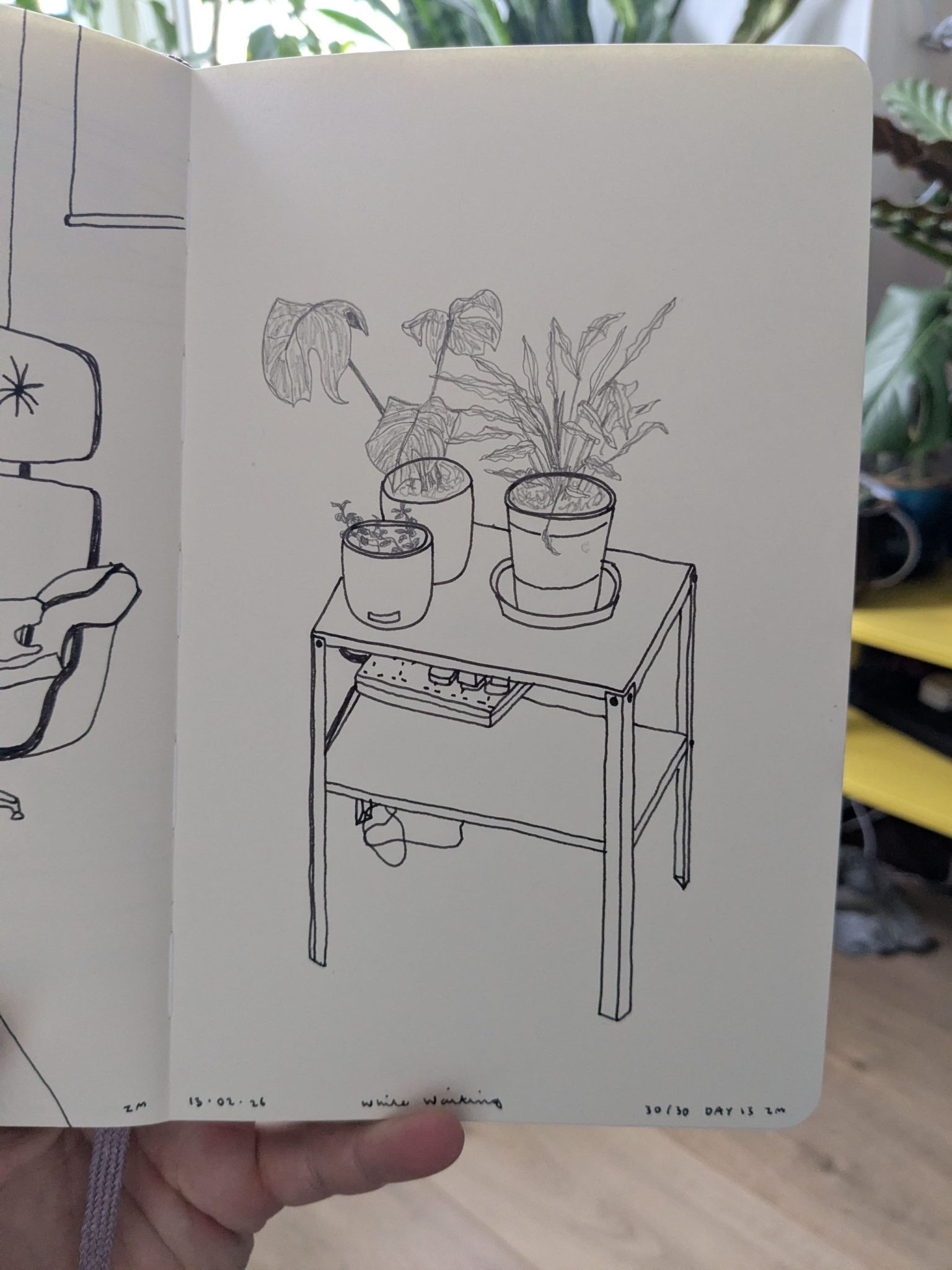 Photograph of a sketchbook page showing a pen drawing of some plants on a table