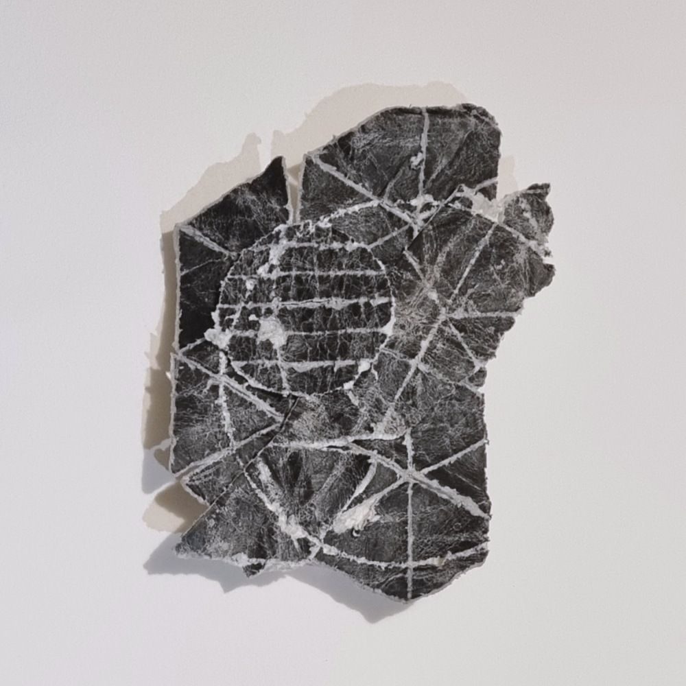 grid collage on paper