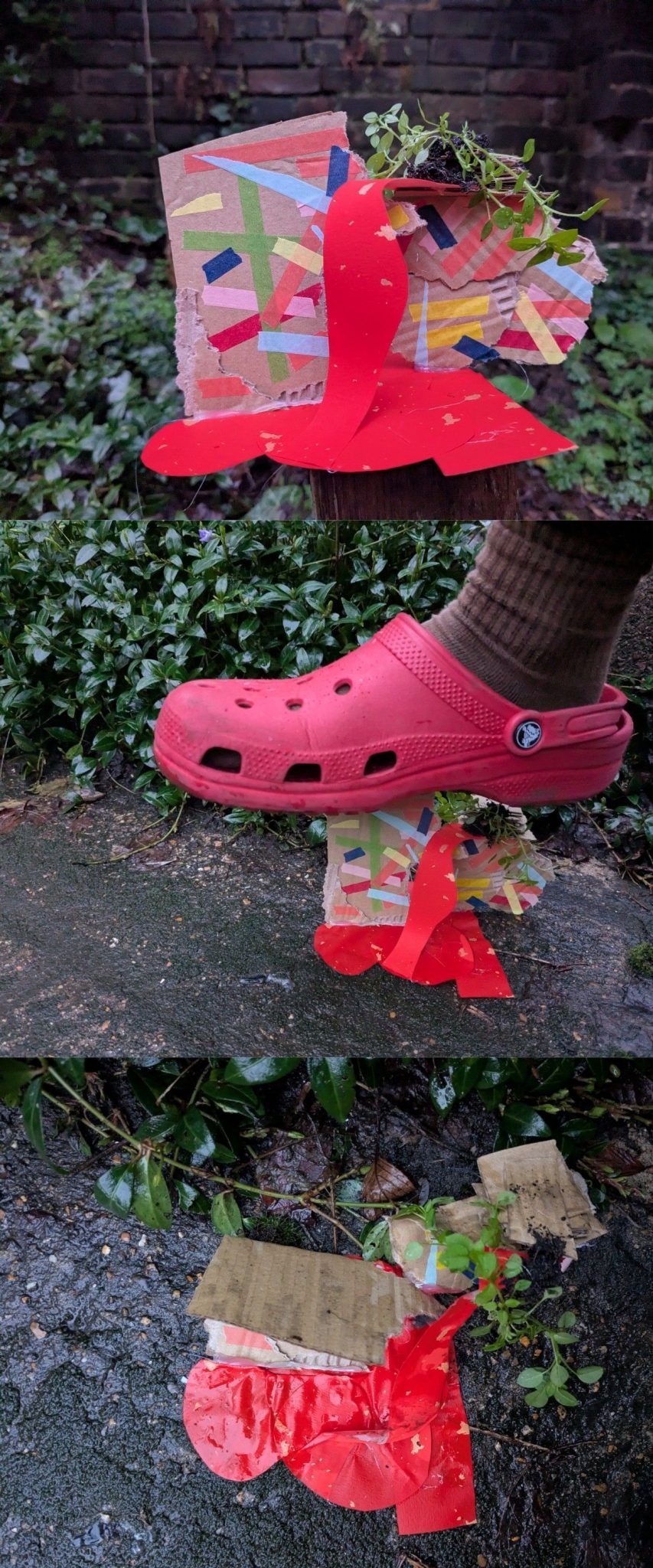A vertical triptych of three photographs. The first is of an abstract cardboard coloured sculpture. In the second a foot wearing a red croc stands above the cardboard piece. In the third the piece has been flattened. The background for each is wet greenery in all three photos.
