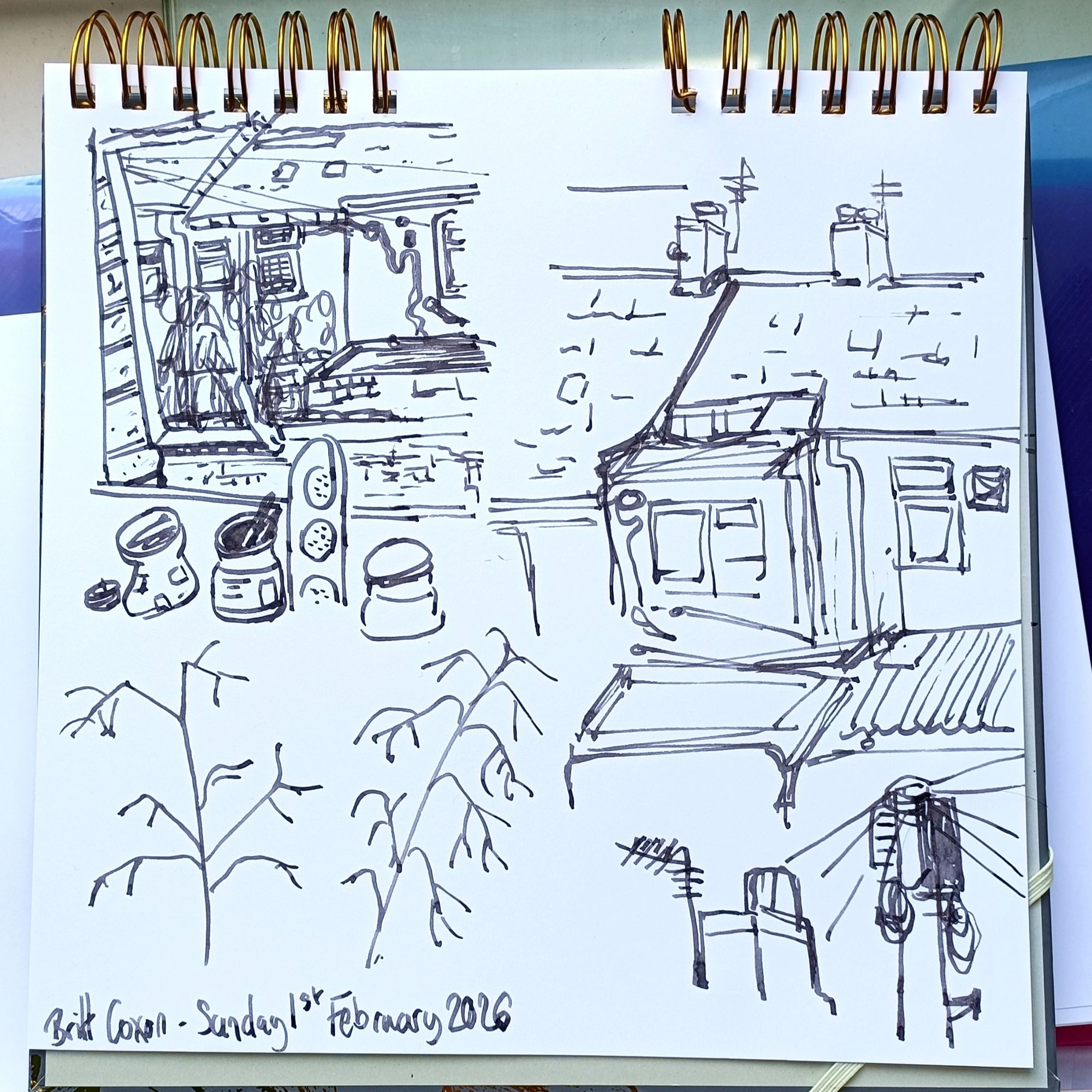 Views from the home office window on a surprisingly sunny Sunday morning.