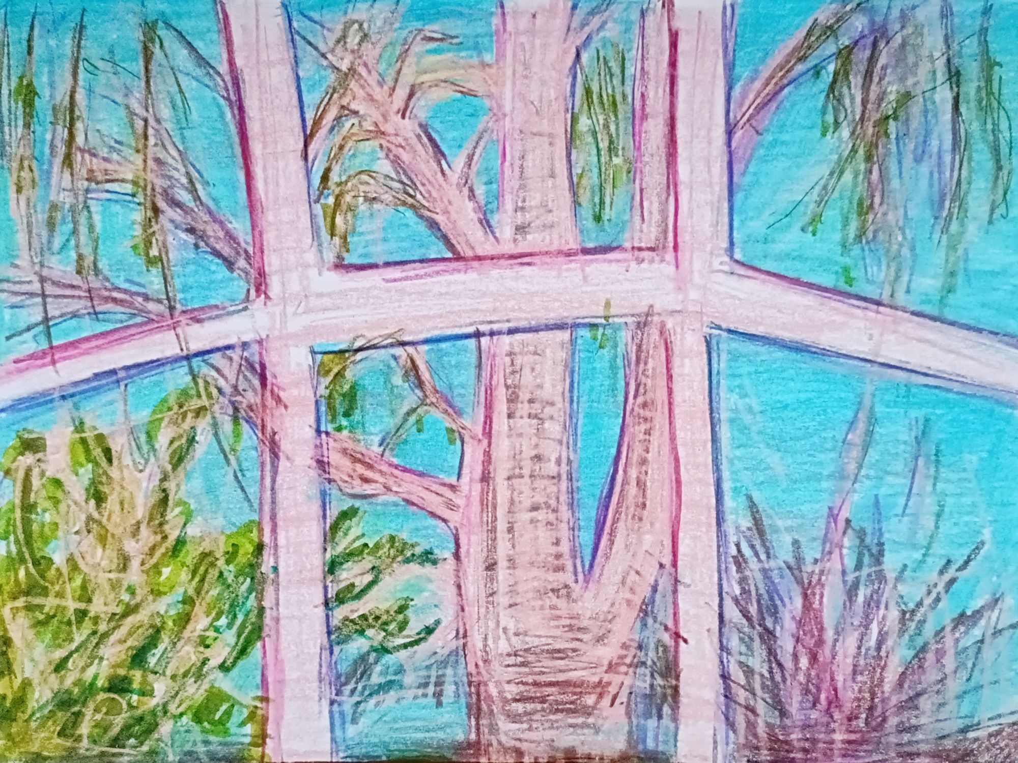 A mixed materials drawing of the view from a bay window including a birch tree and the first signs of spring buds.