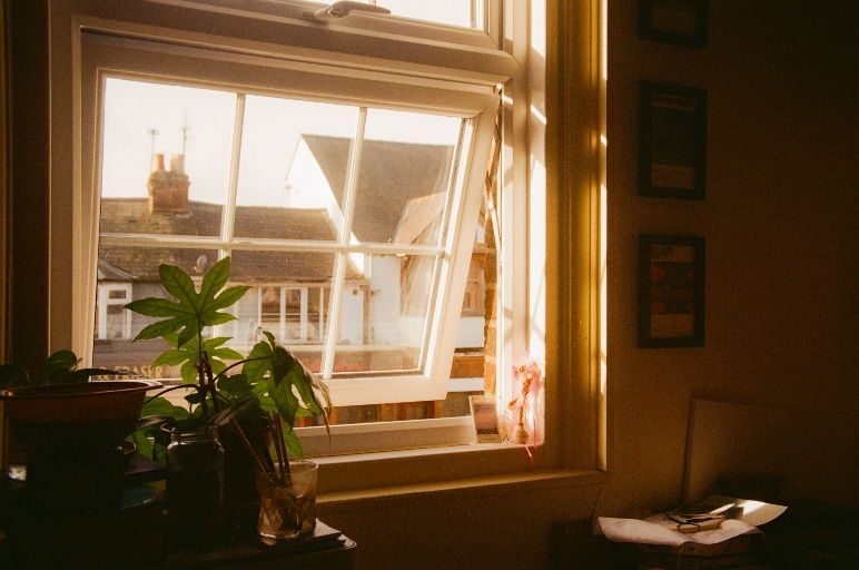 Film photo of an open window. Plants sit in front of it