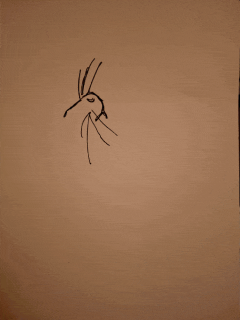 Gif loop of a ballpoint sketched rat with fairy wings hovering in the air