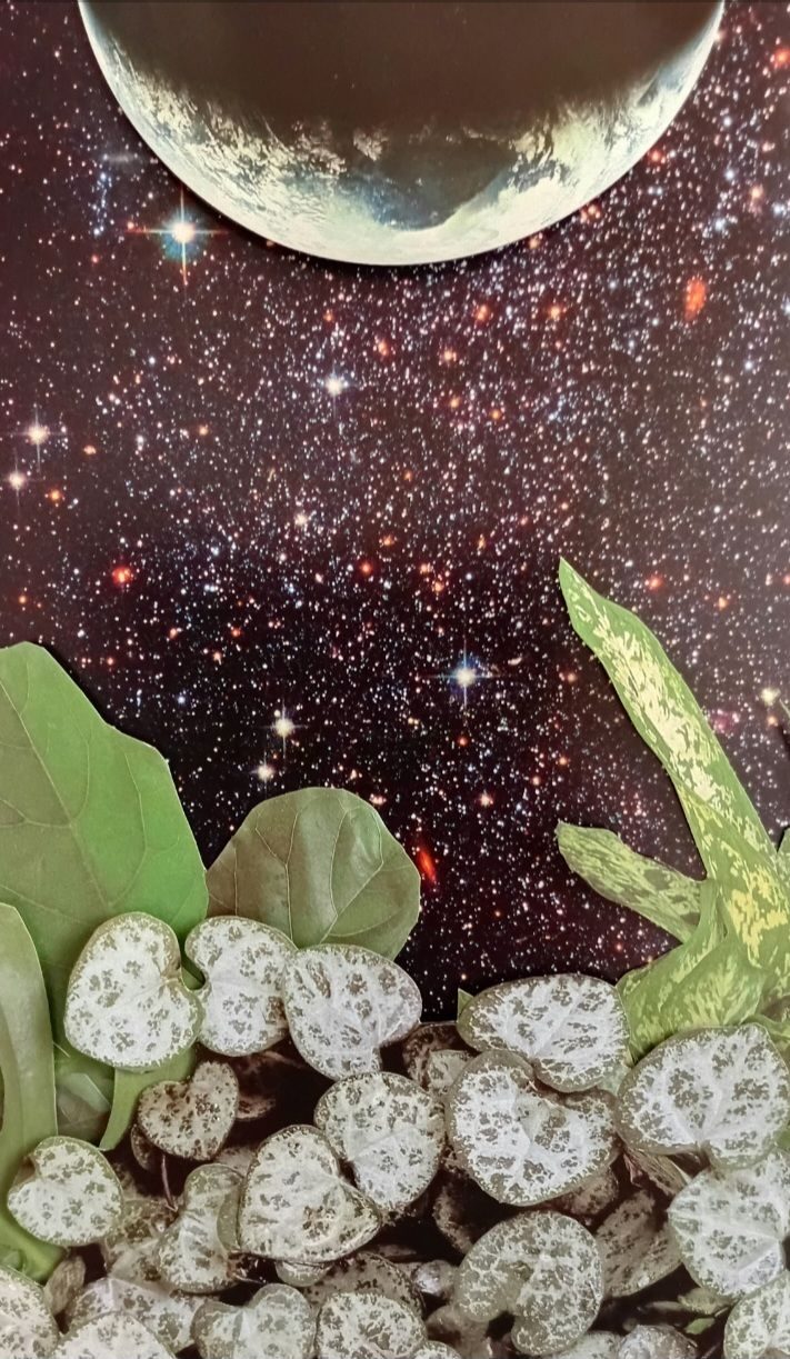 Photo collage on a background of galaxies in a black sky. At the bottom are various green leafy plants. At the top is a planet.