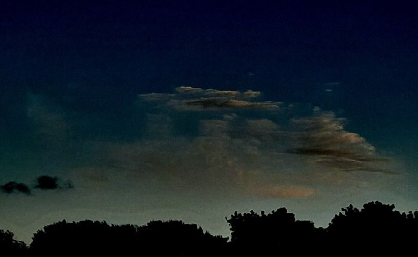 Photograph of an evening sky. Sky is dark blue to dark yellow ombre. Scattered grey clouds. Foreground shrubbery is black.