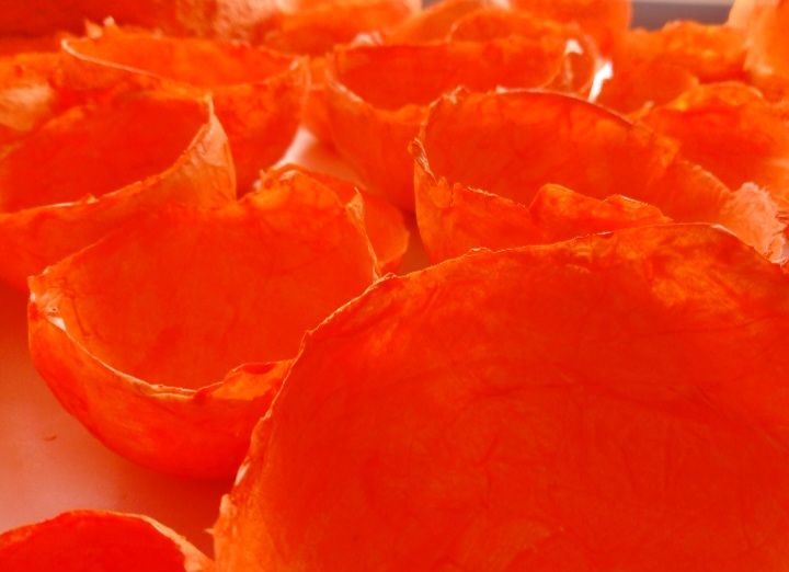 Photo of orange egg shell shaped paper sculptures. They fill the frame.