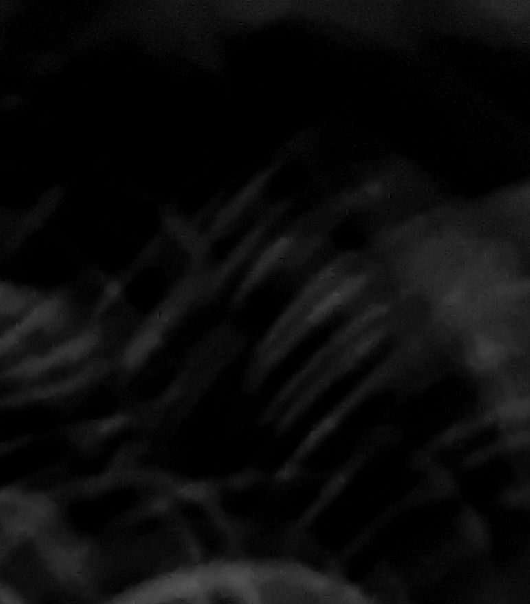 Black image with occasional lighter marks