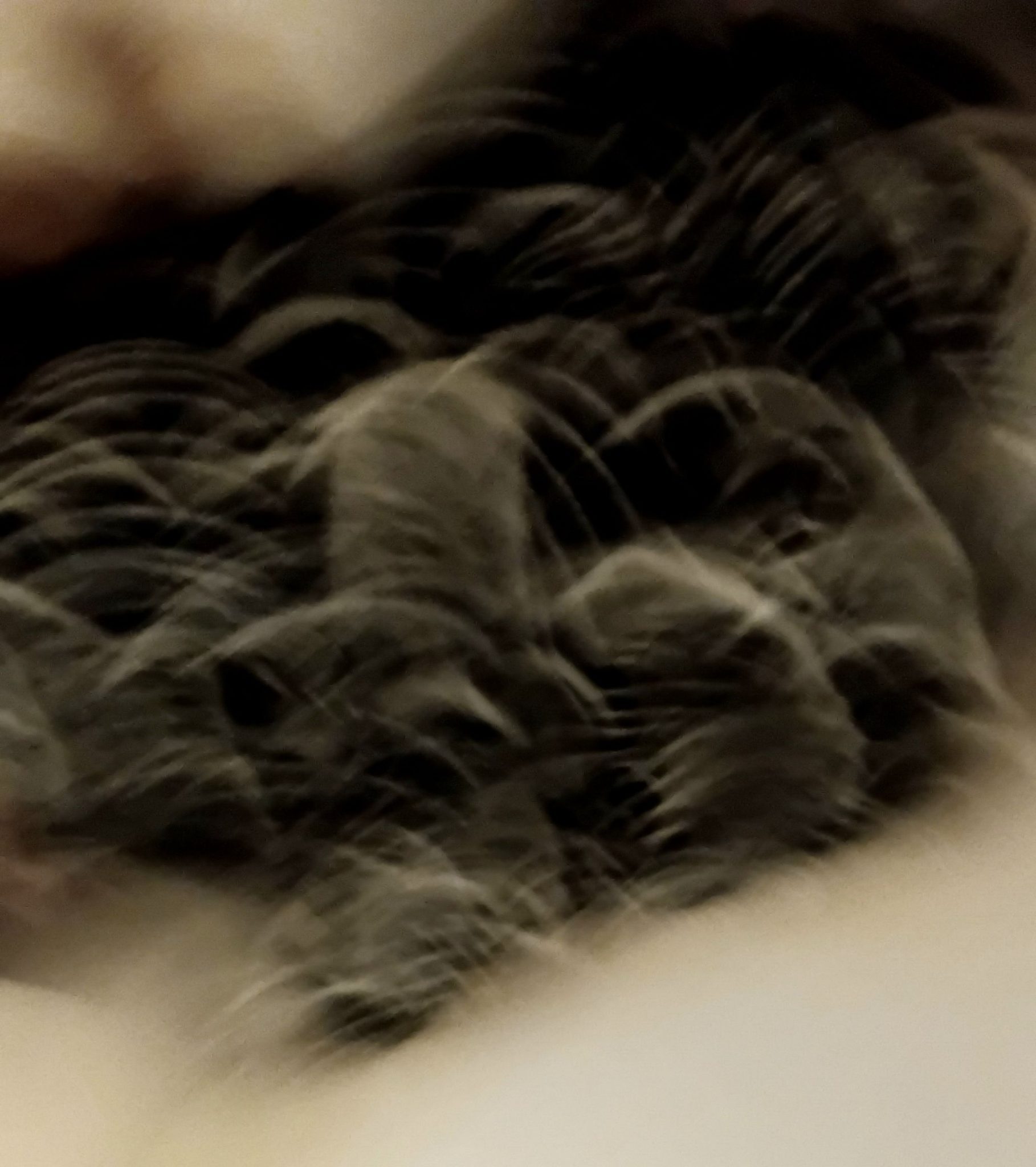 Blurred image of black and white semi circles